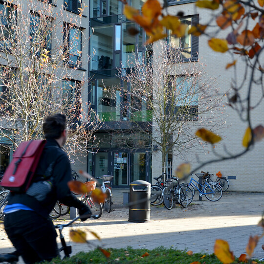A person cycles pas the front entrance of the Alison Richard Building.