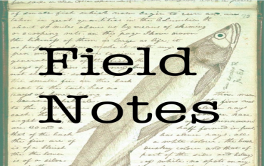 Field Notes [2012-2014]<