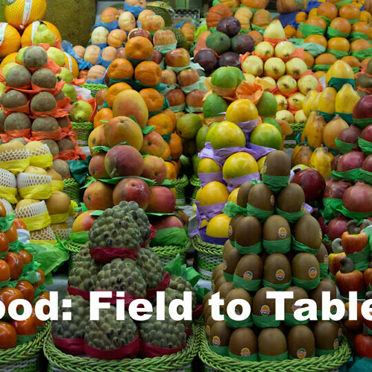 Food: Field to Table?  [2015-2016]<