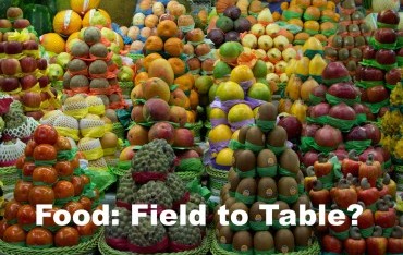 Introducing…the Food: Field to Table group