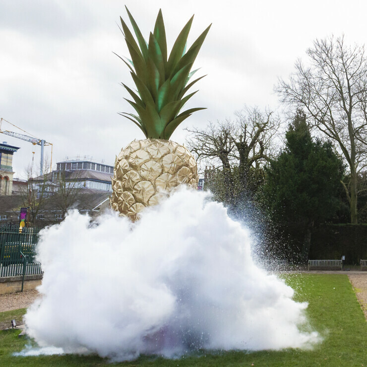 Pineapple and scent cloud at the Fitzwilliam museum.