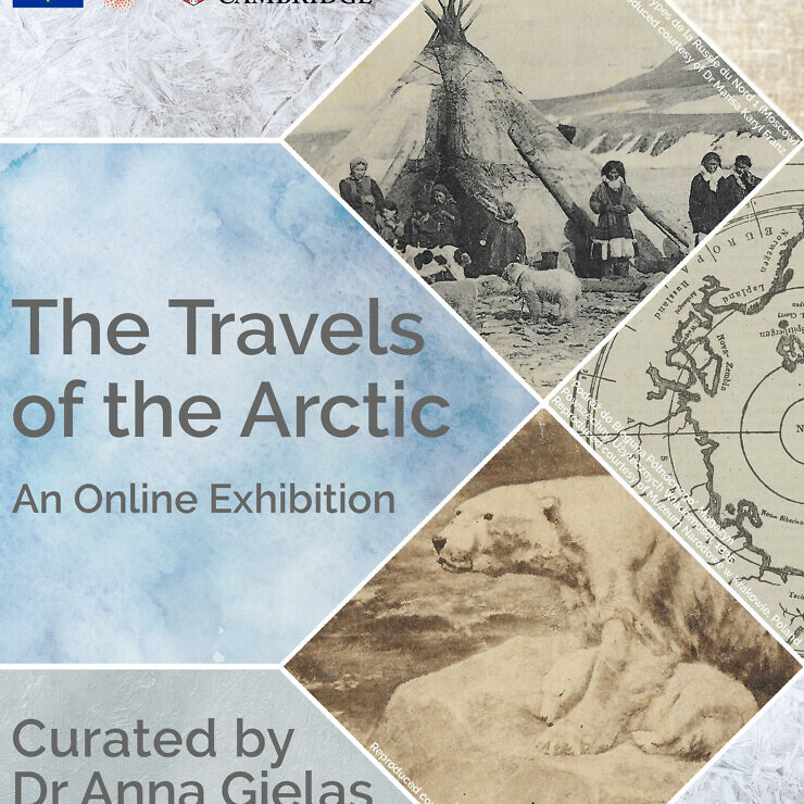 The Travels of the Arctic | gloknos exhibition