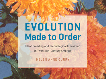 Evolution Made to Order: 5 questions to Helen Anne Curry