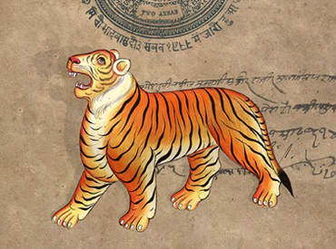 Paper Tiger: Q&A with Nayanika Mathur
