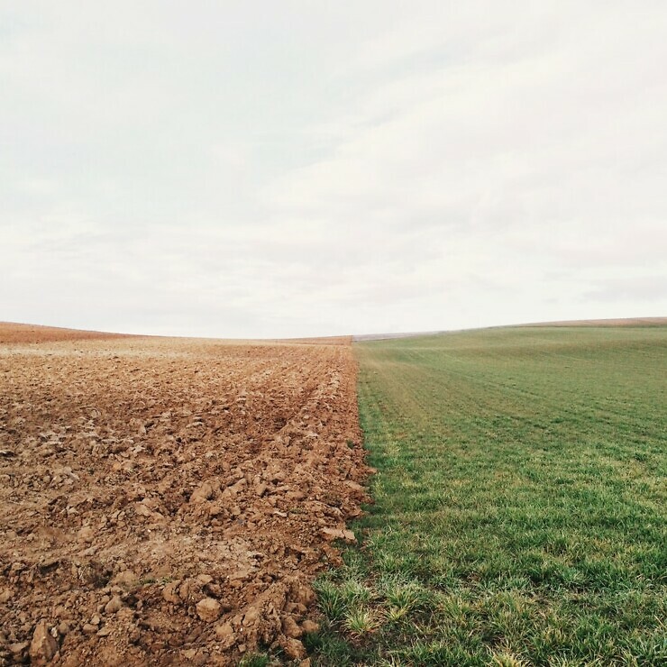 Photograph of separating line between uncultivated brown earth and a vibrant green field