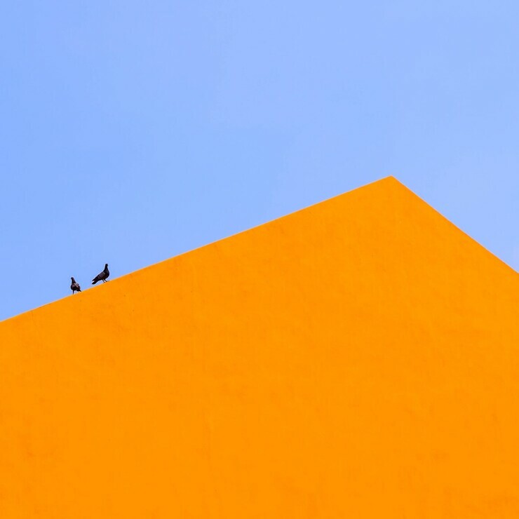 Photograph of two black birds on a hot orange roof, contrasting with the bright blue sky behind.