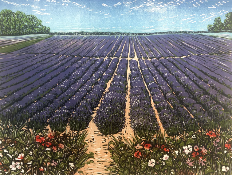 Linocut of lavender field on Norfolk.