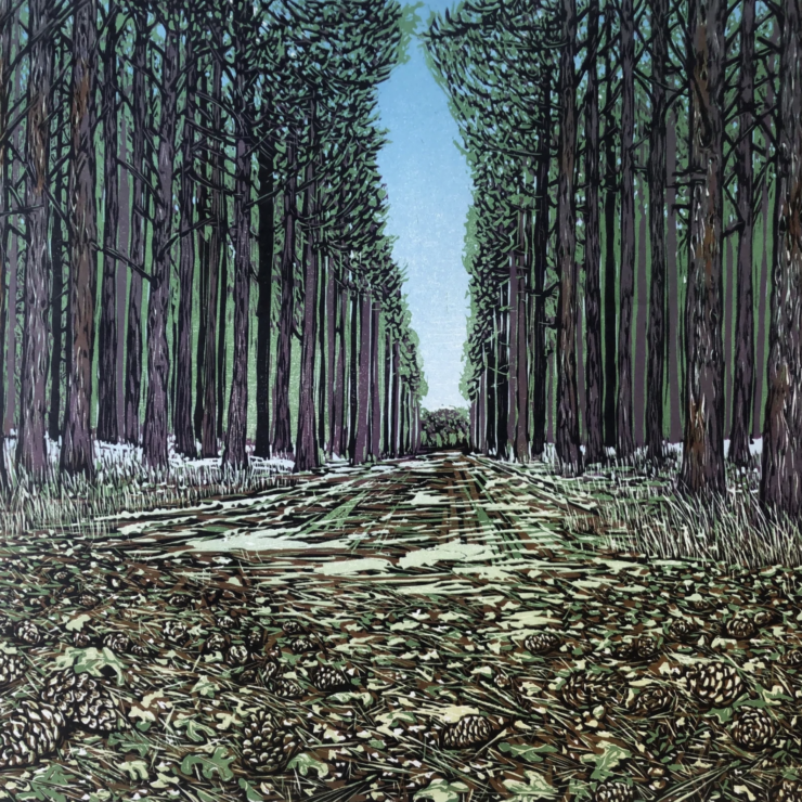 Linocut of a path in the woods seen from ground level. There are pine cones on the ground and the rows of trees stretch into the distance.