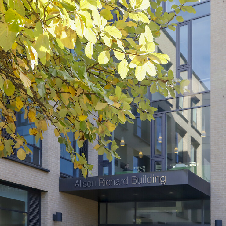 The elevation of the Alison Richard Building in autumn, with golden leaves from a tree partially obscuring the view.