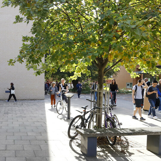 The forecourt of the Alison Richard Building, busy with people walking and cycling. The autumn sun provides sharp shadows and lights up coloured leaves on a tree.