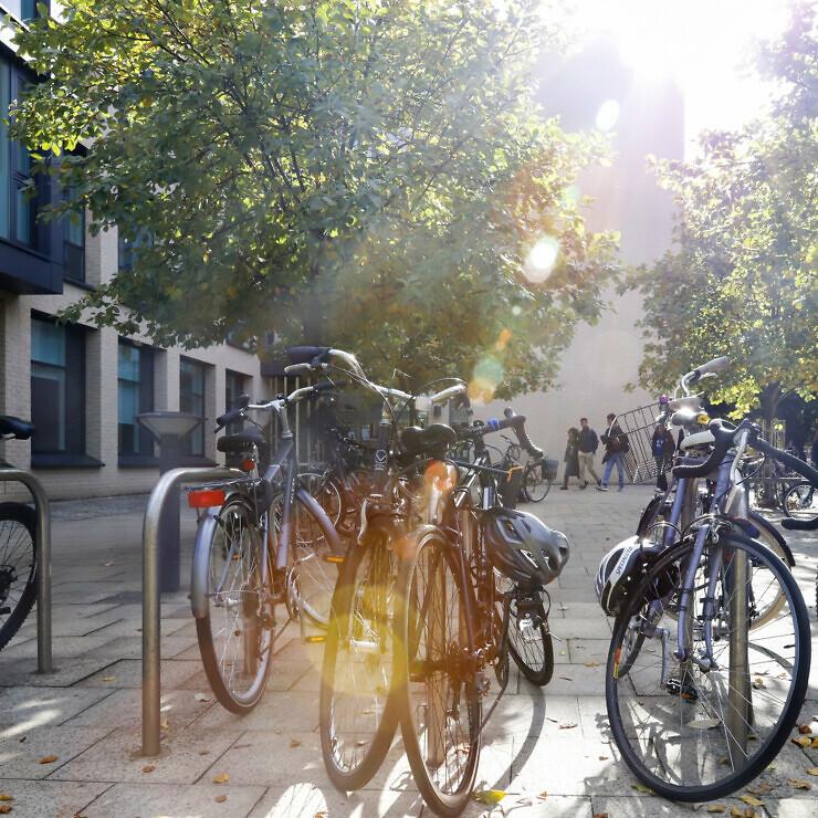 Bikes outside the Alison Richard Building in warm autumn light.