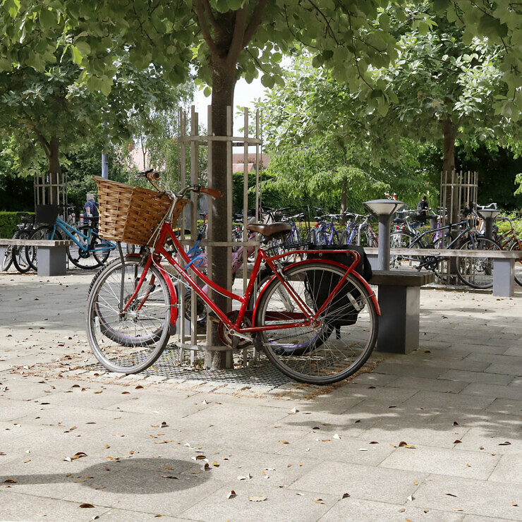 A red bicycle with a wicker basket is parked by a tree outside of the Alison Richard Building.