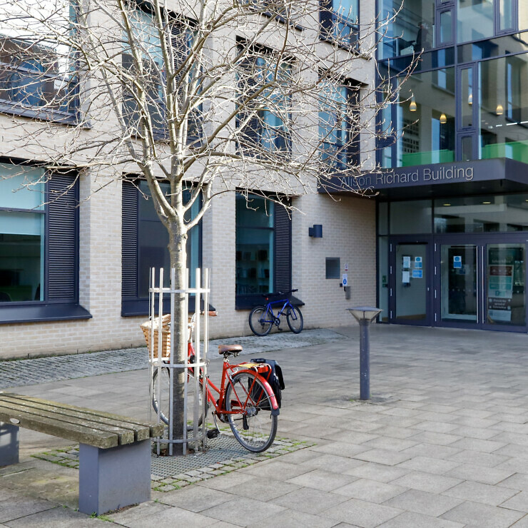 A red bike is parked against a tree in front of the Alison Richard Building.