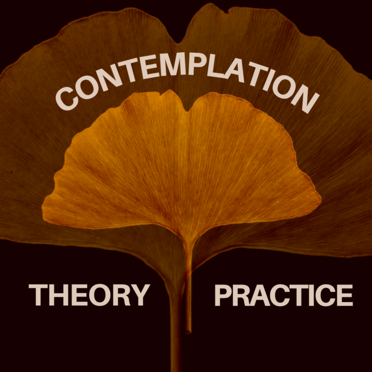 Logo for the Contemplation: Theory / Practice network showing two overlapping Ginko tree leaves.