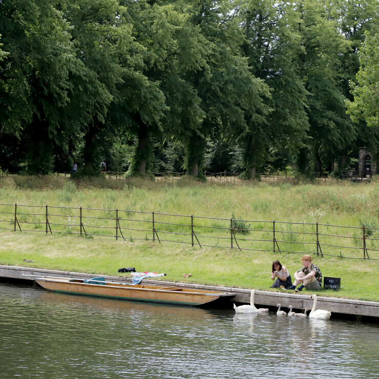 Two students have moored their punt on the bank of King's College next to a 'no mooring' sign. A swan with signets is nearby.