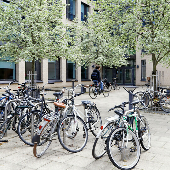 Bicycles parked outside the Alison Richard Building.
